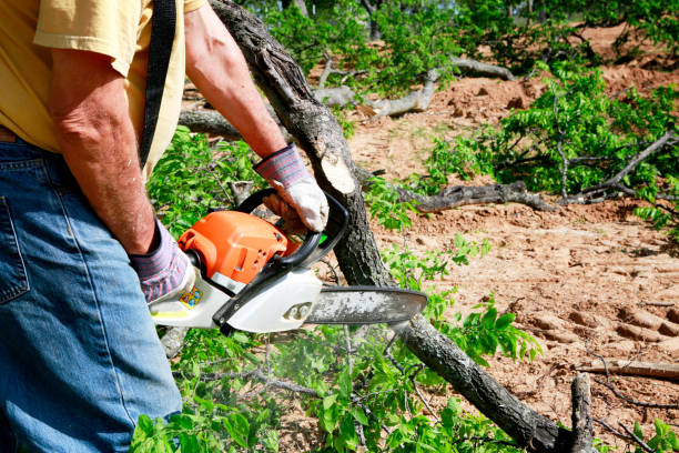 Best Commercial Tree Services  in Turnersville, NJ